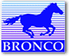 Bronco